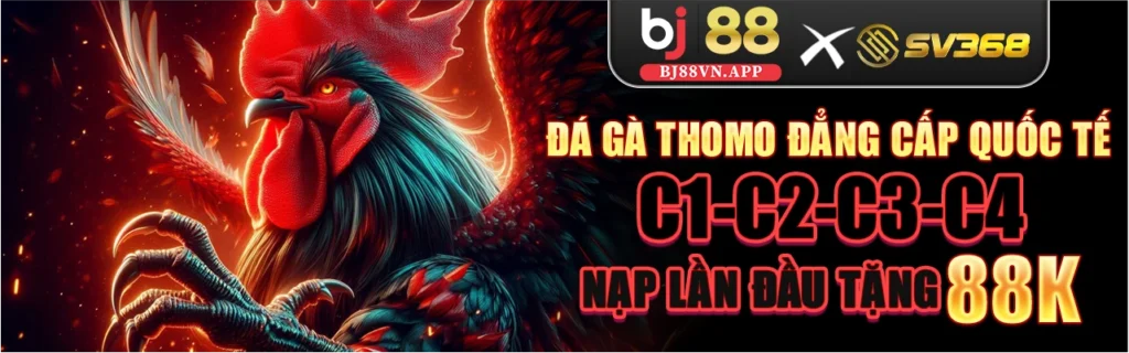BJ88-VN.org - Sân Chơi Cá Cược Đỉnh Cao Uy Tín Số 1 VN